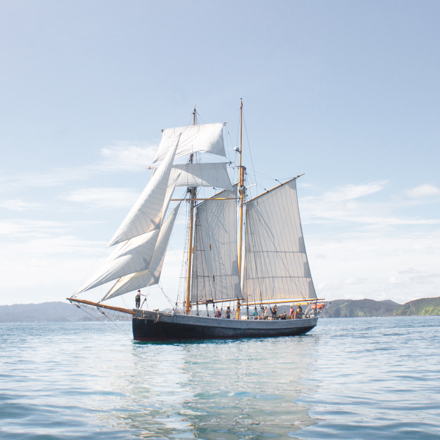 R Tucker Thompson | Fullers Bay of Islands | Ship Sailing