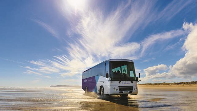 Fullers Bay of Islands | Northland, New Zealand | Bus driving on Ninety Mile Beach