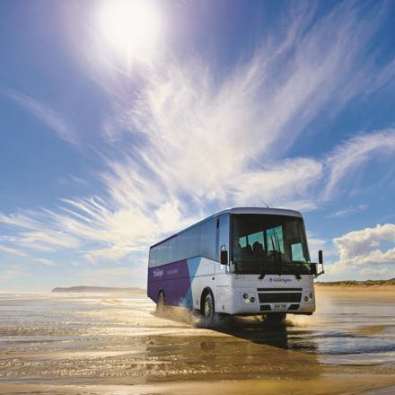 Fullers Bay of Islands | Northland, New Zealand | Bus driving on Ninety Mile Beach